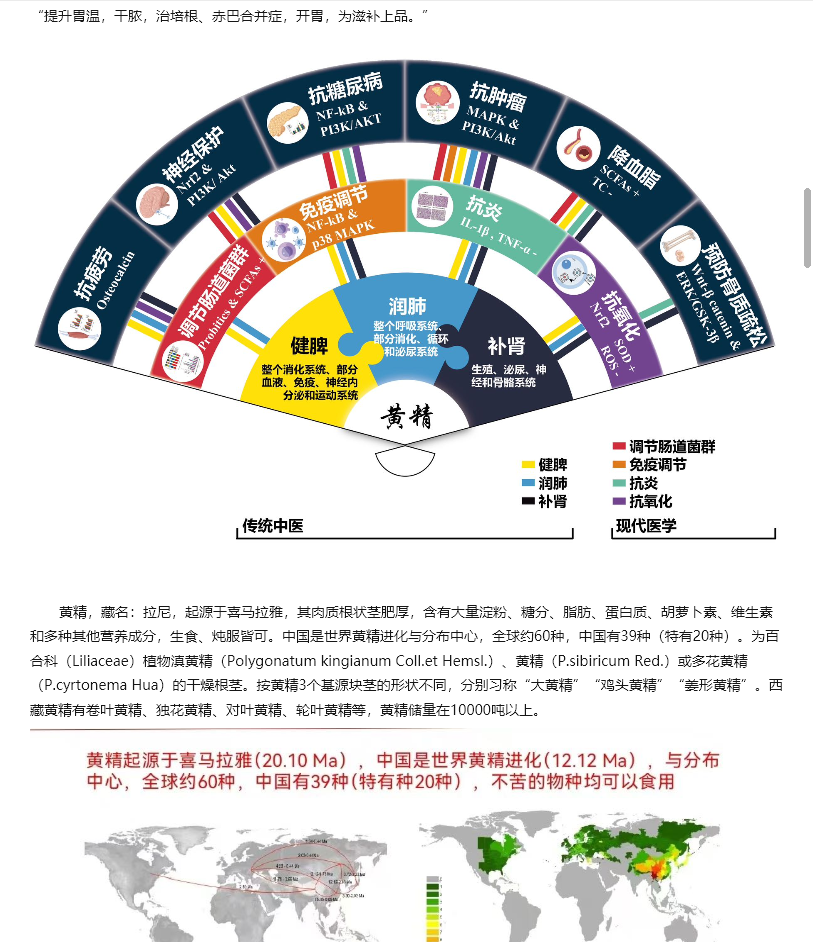 3f35fa03-edf0-4150-9907-2492b221cd14.png
