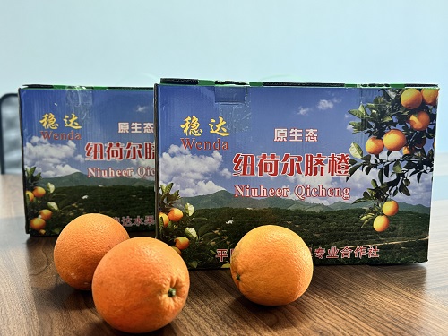 【公益助农】本地脐橙10斤/箱