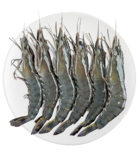 冰鲜大黑虎虾250g&plusmn;9g/份（10-15只）