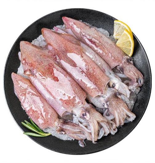 时令 海捕本港鱿鱼450-550g/份（不泡水）