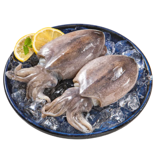 时令 海捕墨鱼仔200g/份