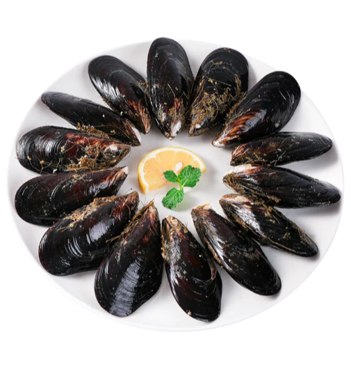 时令 鲜活淡菜王黑贻贝600g/份（300g&plusmn;9g/份*2）