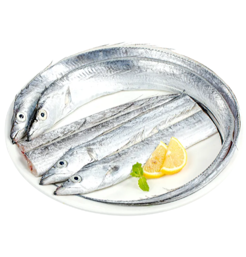 时令 漳州本港黑眼带鱼500g&plusmn;15g/份（3-5条）