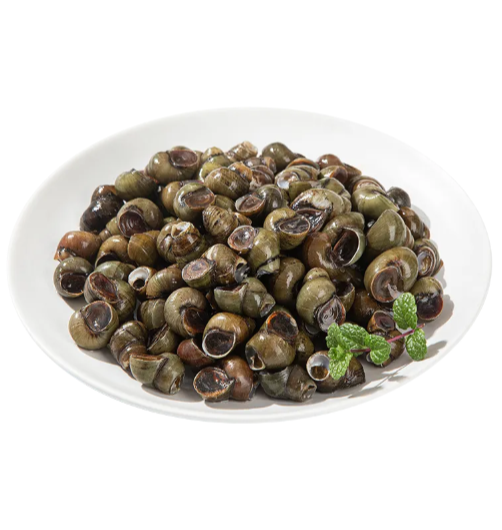 泉水剪尾螺蛳500g&plusmn;12g/份