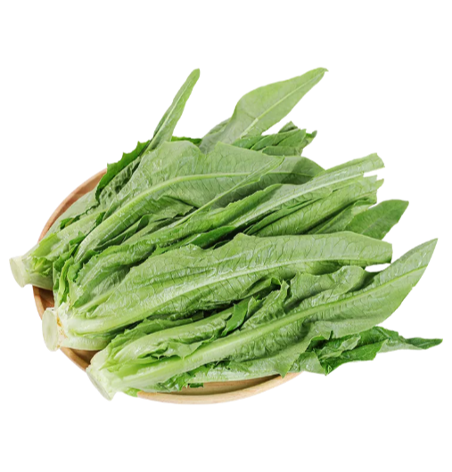 油菜菜约500g
