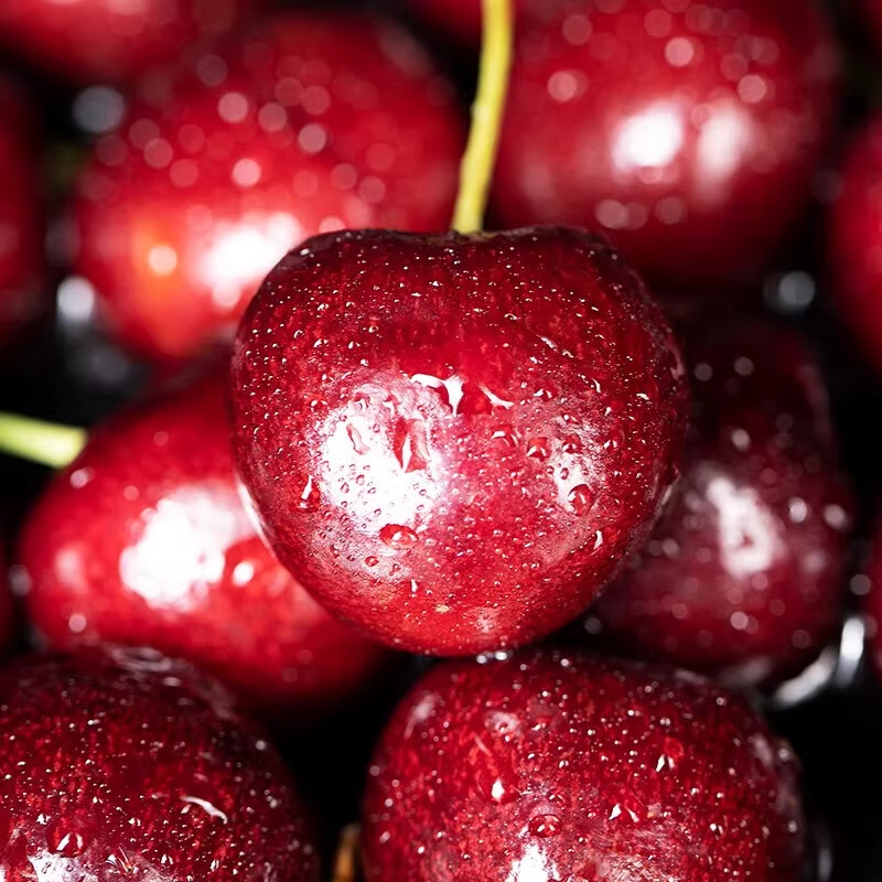 智利车厘子 500g
