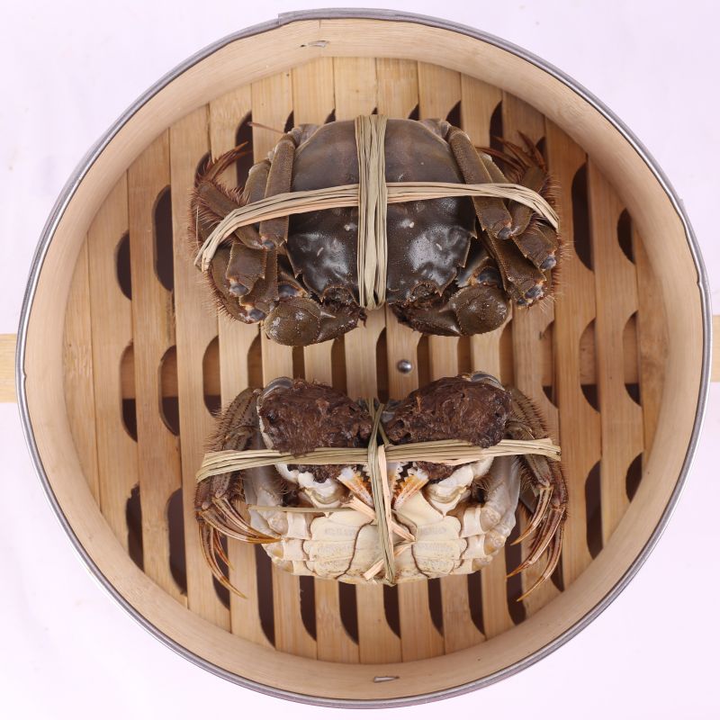 大闸蟹（母）