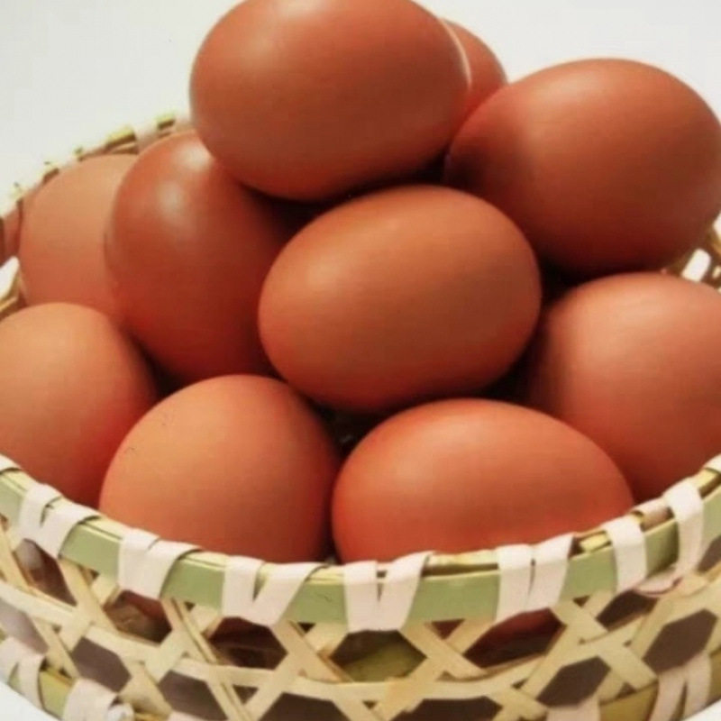 红壳鸡蛋