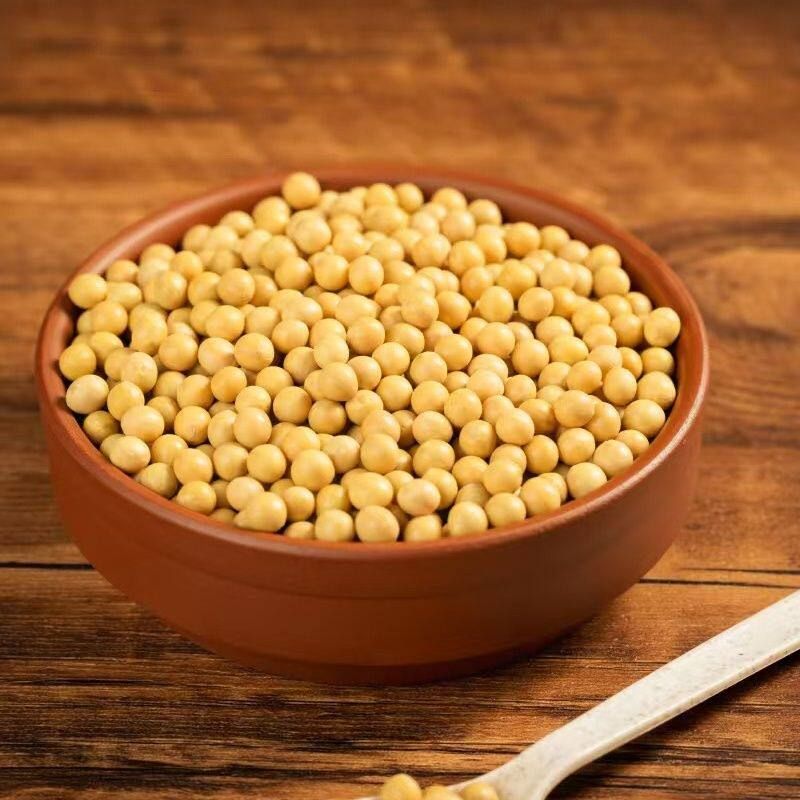 黄豆