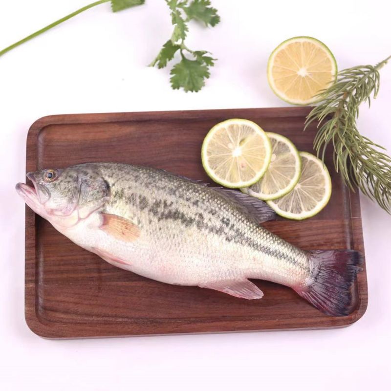 鲈鱼 活鱼现杀 约500克