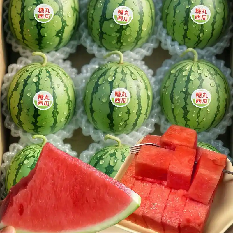 小糖丸西瓜