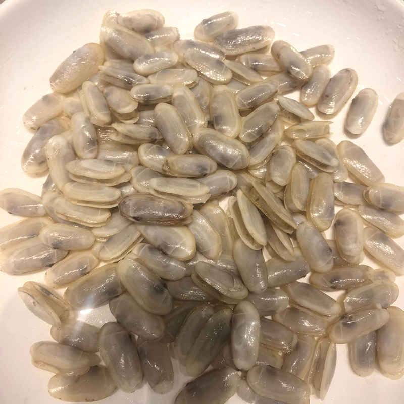 现烧贡对汤（小蛏子）