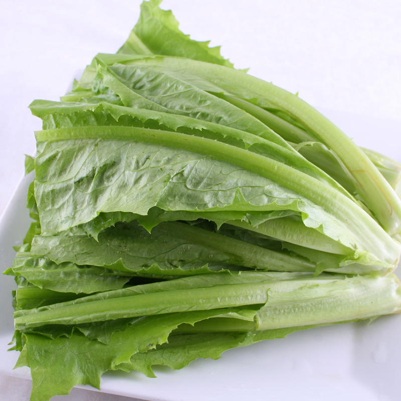 油麦菜