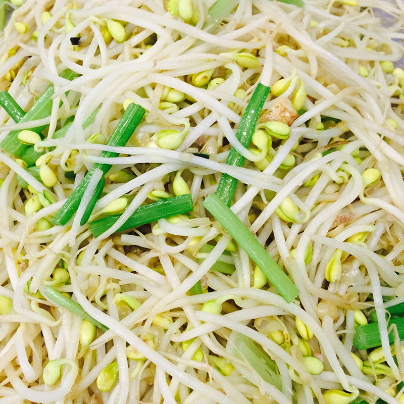 豆芽芹菜