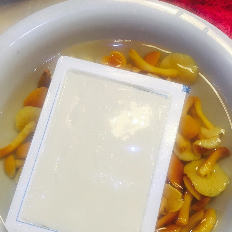 滑菇豆腐汤