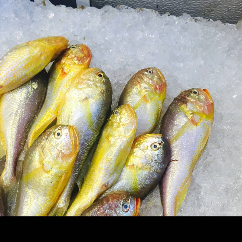 野生小梅鱼家烧5条（现烧）