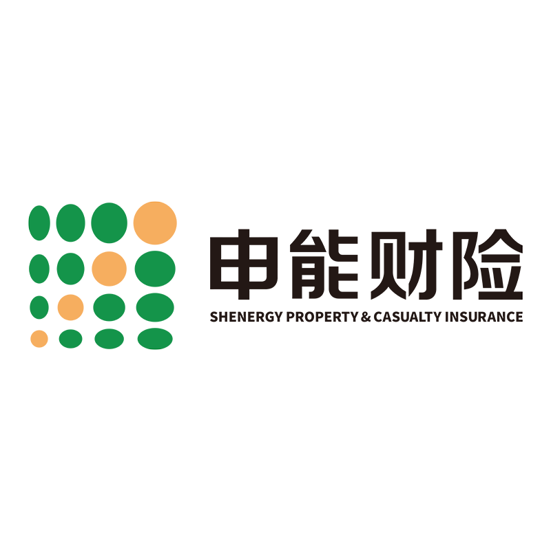 申能保险公司