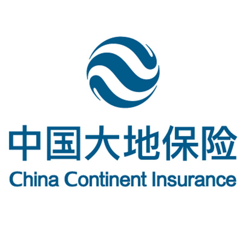 大地保险公司