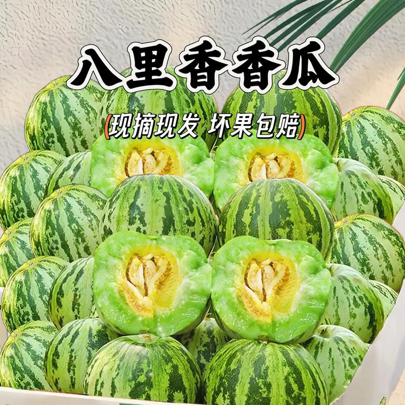 【八里香】香瓜 5个/约5斤/篮